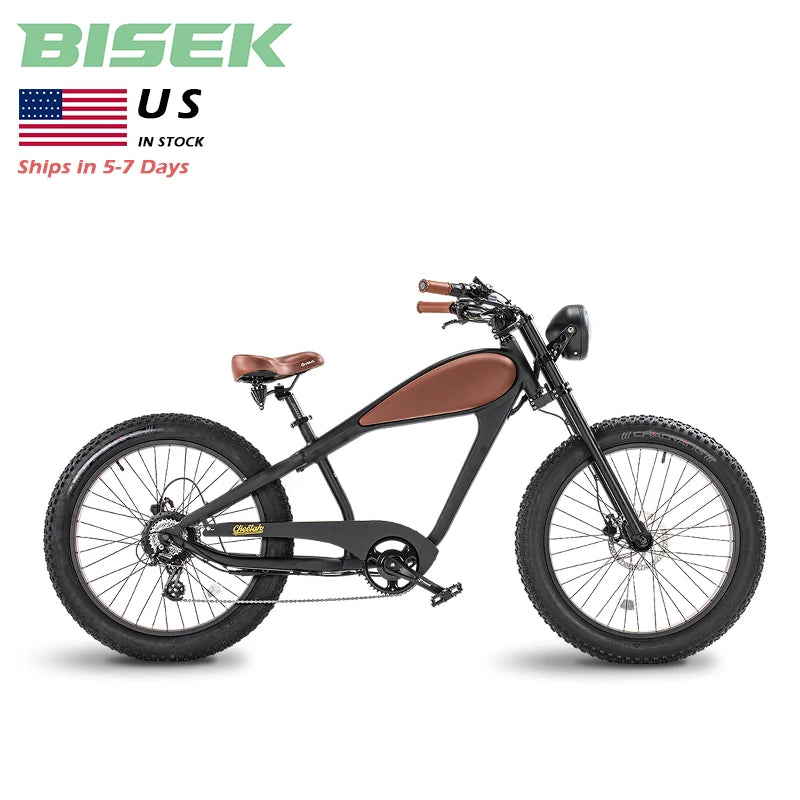USA Warehouse Hybrid Electric Bicycle Retro Style E-Bike 48v Lithium Battery Road Dirt City Suitable 48v Ebike Mountain Fat Tire
