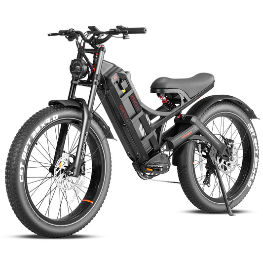 STLF Eahora Romeo Pro High-power Fatbike Ebike Electric Fat Tire Mountain E Hybrid Road Cargo Dirt Bike Bicycle Adult