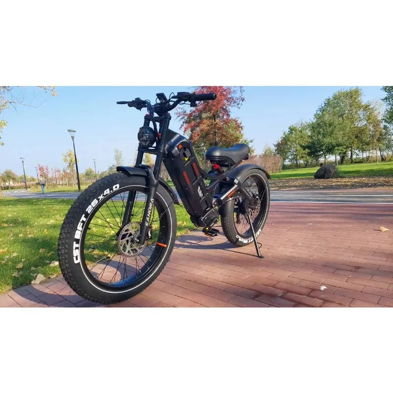 STLF Eahora Romeo Pro High-power Fatbike Ebike Electric Fat Tire Mountain E Hybrid Road Cargo Dirt Bike Bicycle Adult