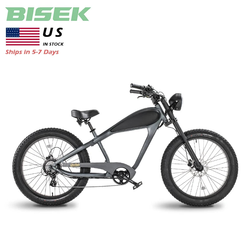 USA Warehouse Hybrid Electric Bicycle Retro Style E-Bike 48v Lithium Battery Road Dirt City Suitable 48v Ebike Mountain Fat Tire