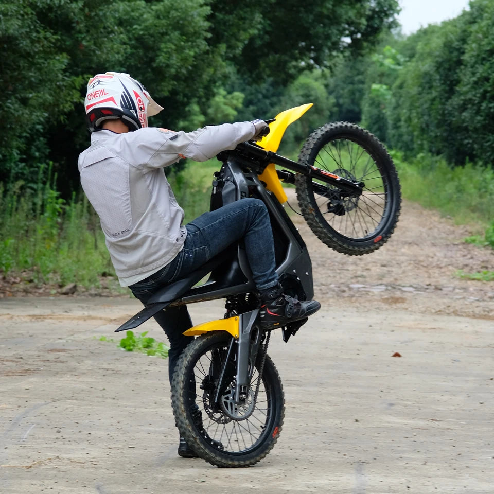 STLF Offroad Electric Dirt Bike Electric Bike-3000w 6000w Mid Drive Dirtbike Full Suspension Fast E-bike off Road