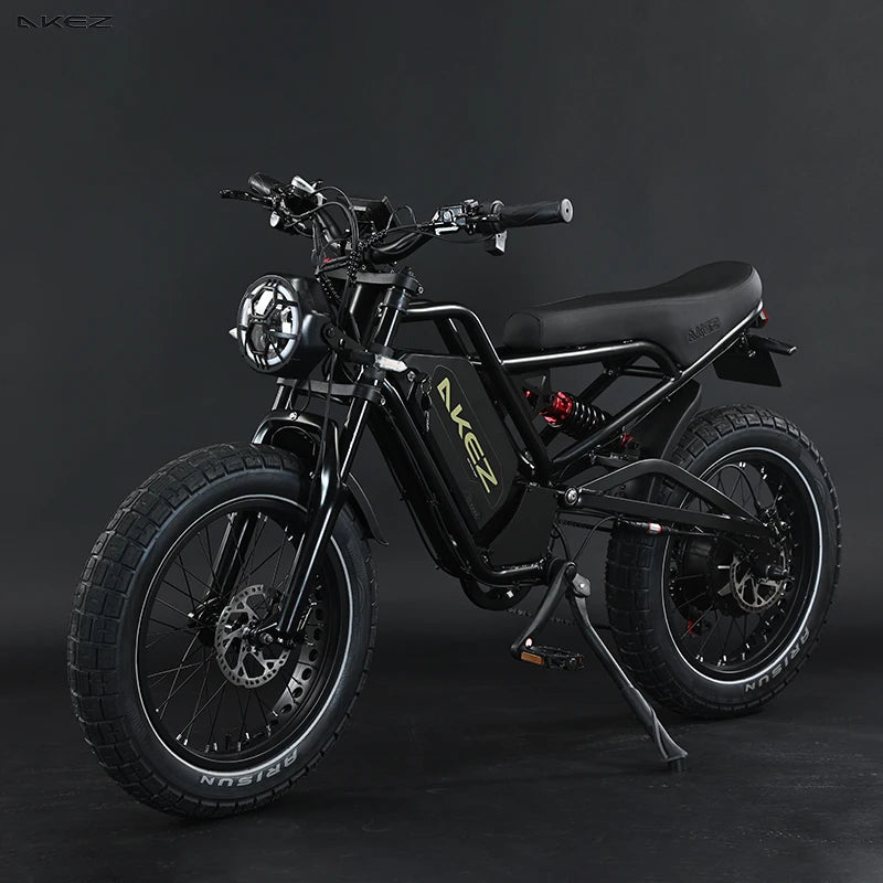 STLF Practical Hot Sale Electric Mountain Fatbike Affordable 20-Inch Fat Tire E-Bike Electric Dirt Electric Bicycle