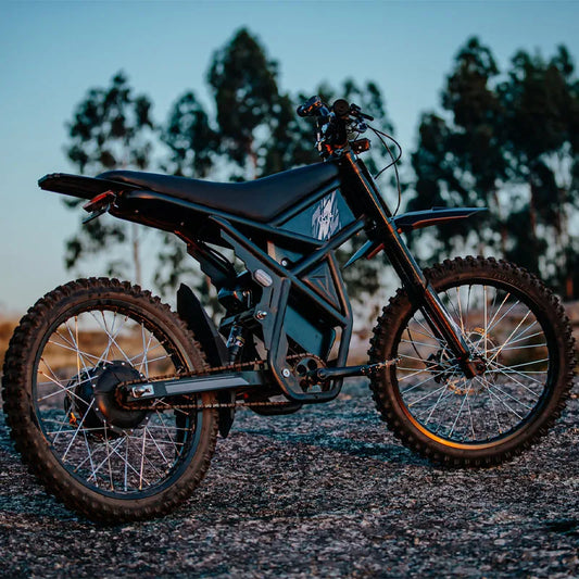 STLF RidingTimes GT73 All Terrain 36.4Ah for USA 2400W for EU 250W Fat Tire Dirt Ebike E Bike Electric Bicycle Ebike